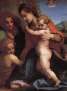 Andrea del Sarto The Virgin and Child with St. John childhood, as well as two angels oil painting reproduction